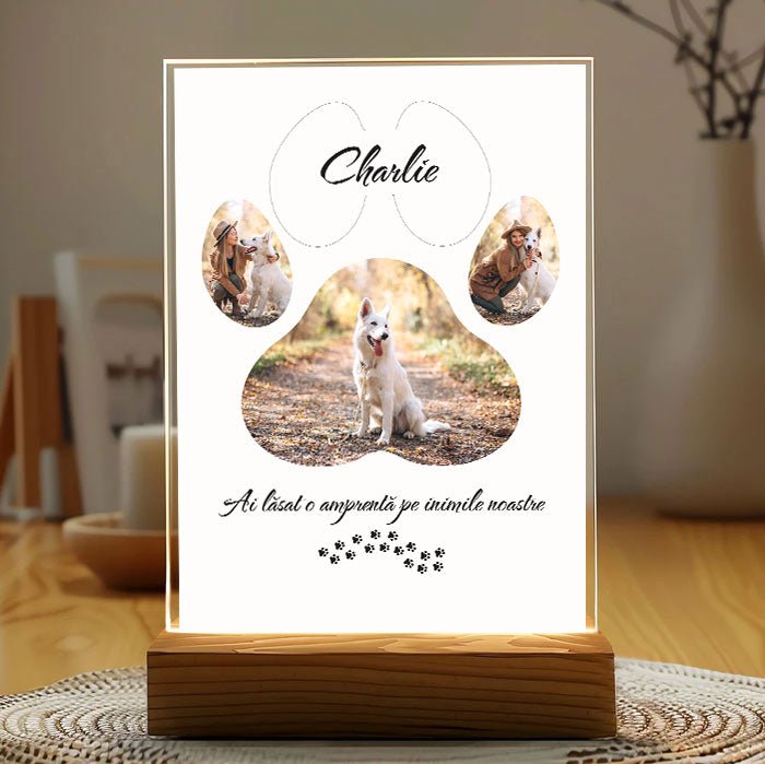 Tablouri pentru Caini si Pisici - TabloPrint