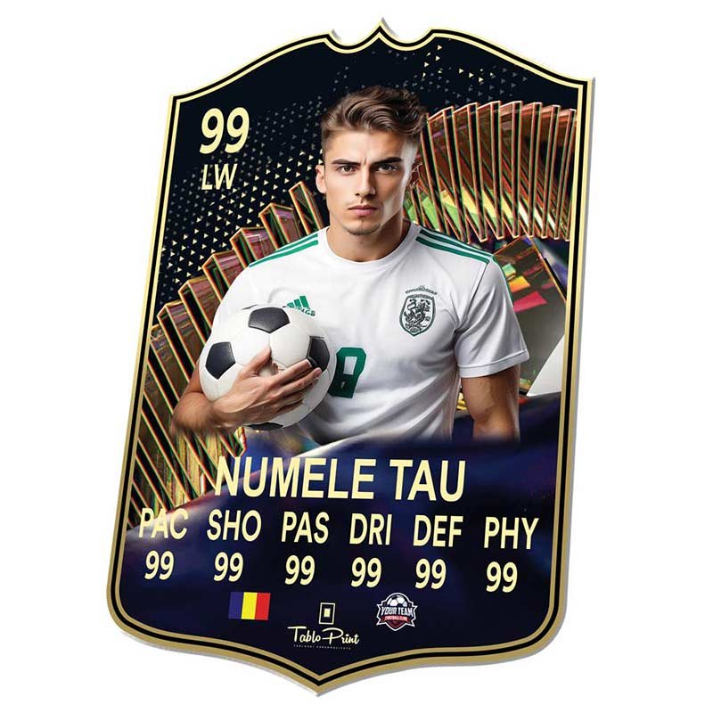 FC24 Team of the Season Card Personalizat - TabloPrint