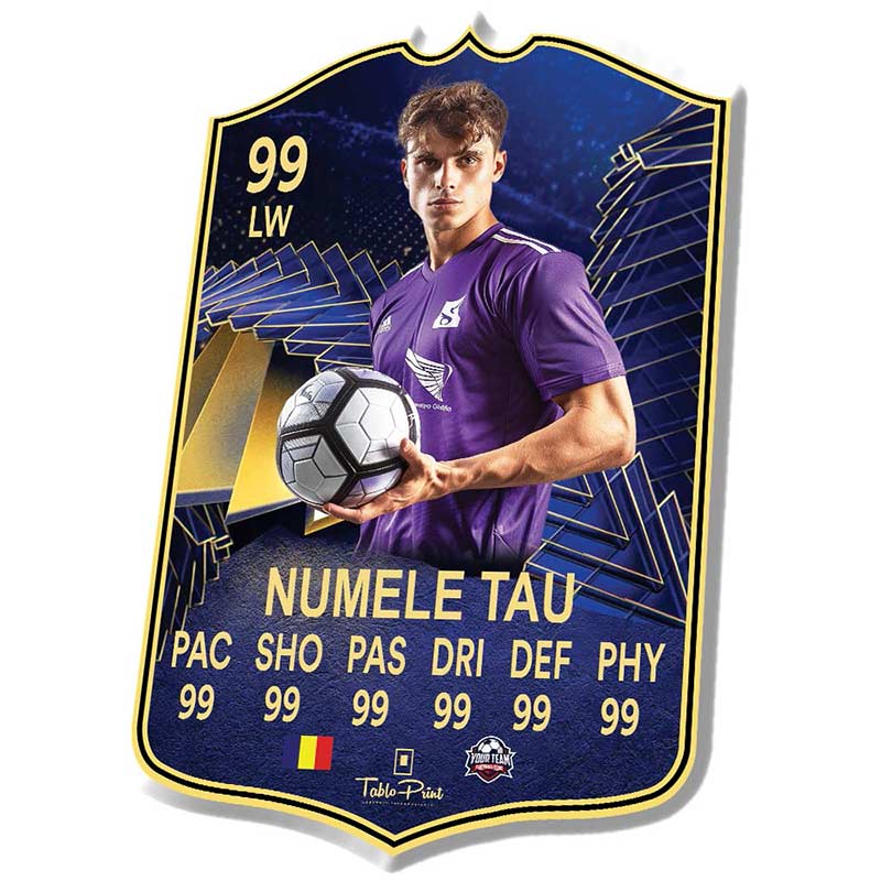 FC24 TOTY Card Personalizat - TabloPrint
