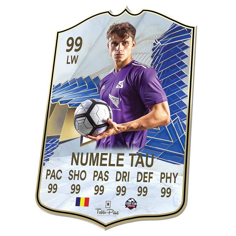 FC24 TOTY Football's Greatest Card Personalizat - TabloPrint