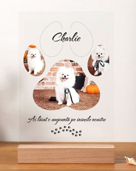 Tablou pentru Câine Personalizat cu poze si mesaj - TabloPrint