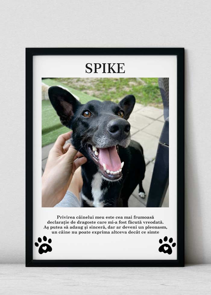 Tablou personalizat cu animalutul tau iubit - TabloPrint