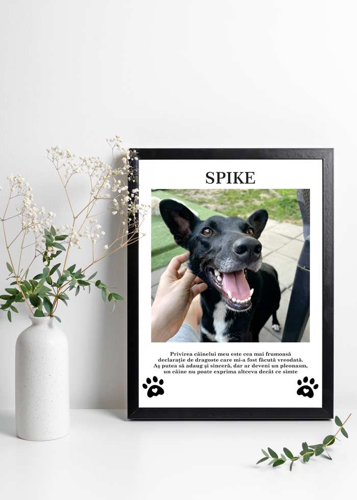 Tablou personalizat cu animalutul tau iubit - TabloPrint