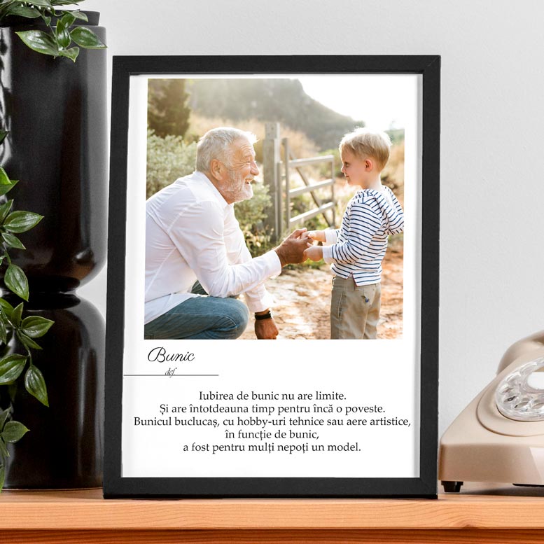 Tablou cu poza si mesaj definitie - Bunic - TabloPrint